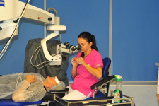 Dobrovolschi Cornelia